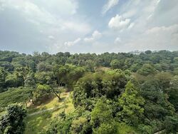 Normanton Park (D5), Apartment #451631661